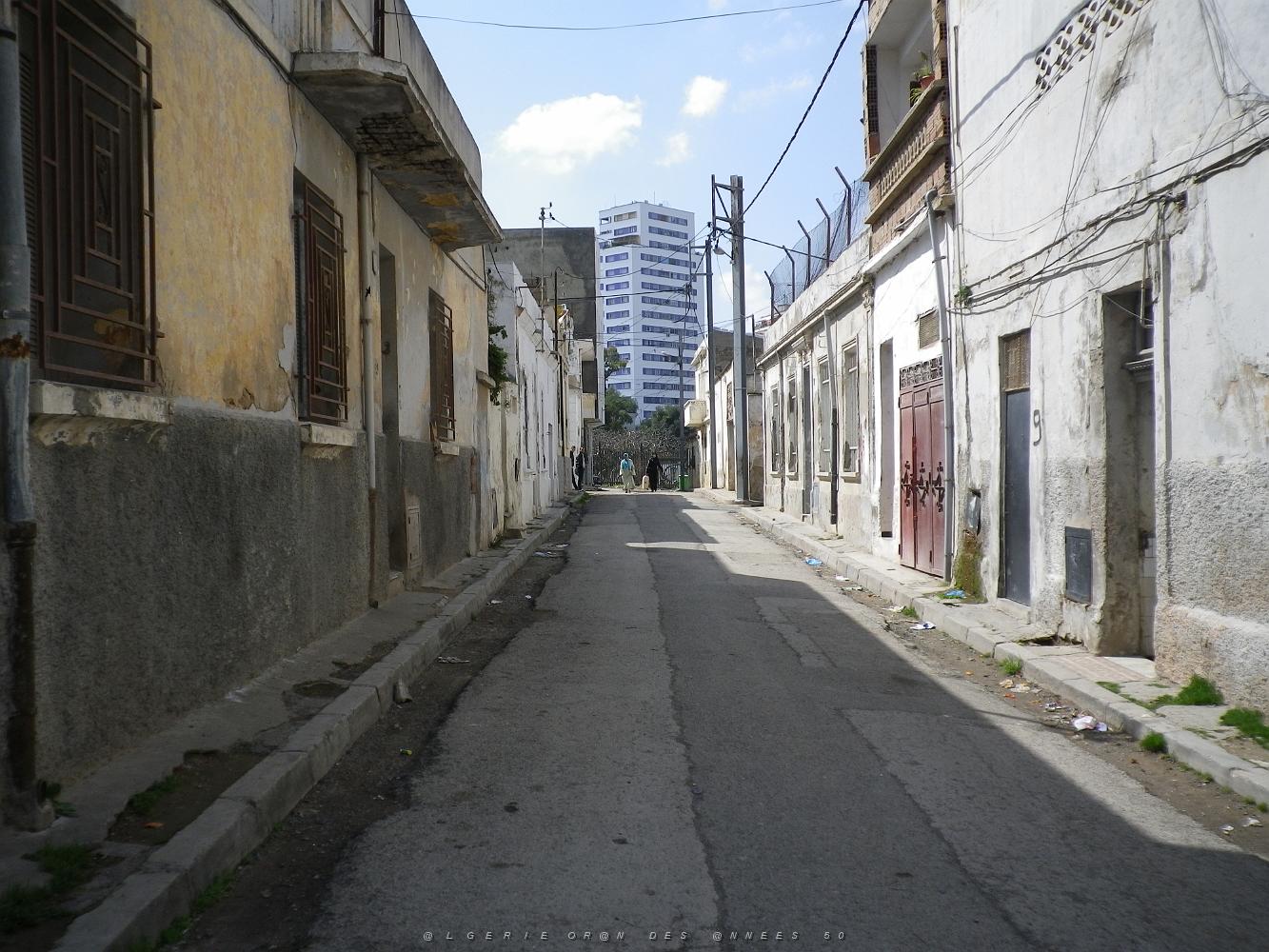 1063 rue dieuzaide .JPG